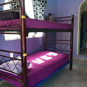 https://hotel-quetzal.quintano-roohotels.com